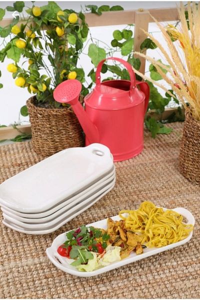 GoldenKitchen 6-Piece Presentation Plate Medium Presentation Chicken World (32X15 cm)