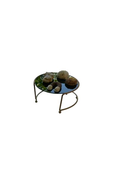 Edora Home Rose Small Size Presentation Stand Metal Gift Decoration Treat / Black Plexiglass / Stainless