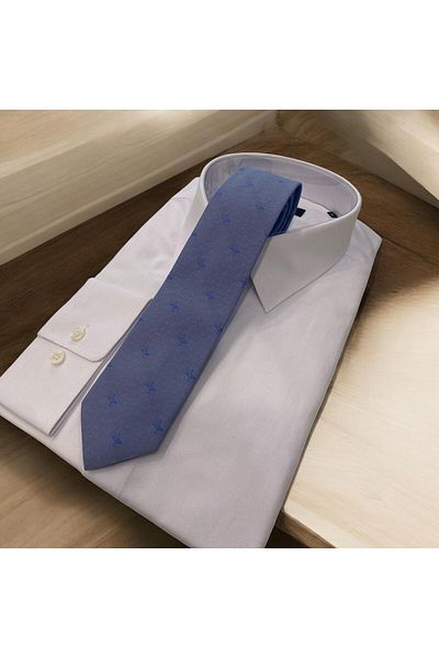 Sarar Patterned Light Blue Tie