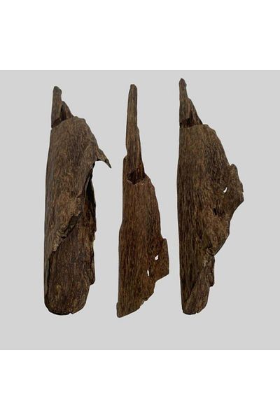 maysam A precious and rare piece of oud sambawa