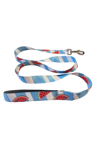collars and paws C&P Watermelon Dog Walking Strap 120 cm X 2.5 cm