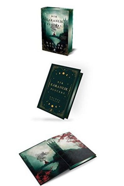 Olimpos Yayınları A Dark Window (Hardcover)