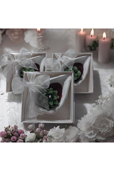 ddecco Nişan nikah hediyelik 10 adet sukulent istiridye Mum söz kına doğumgün...