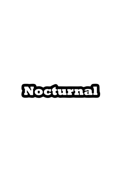 Reysa Tasarım Nocturnal Car Sticker 17X17 cm Black