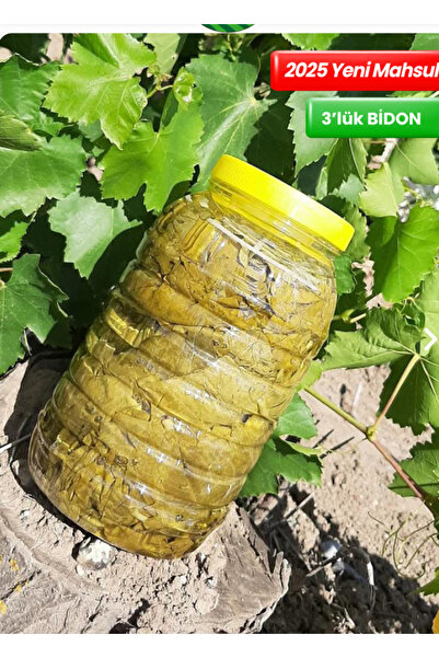 HAS YAPRAK Salamura Asma Yaprak 3'lük Bidon