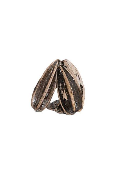 Al Rifai Sunflower seeds are rich in essential nutrients and antioxidants. 250 grams