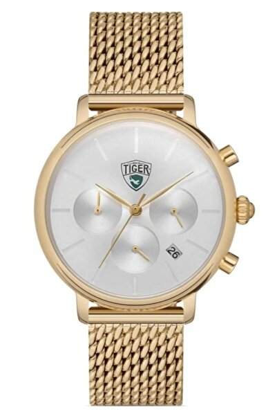 Tiger TI-527 TIGER ÇELİK ERKEK SAATİ