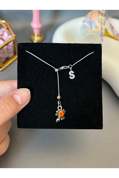 AccSWEN Letter Crab Sign Necklace Horoscope Necklace Ss Stamped Steel