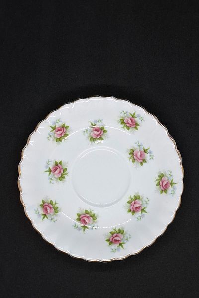 Royal Albert Forget Me Not Rose Bone China England Antique Porcelain Tea Cup Saucer 14 cm