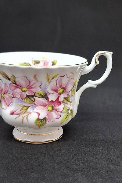 Royal Albert Wild Rose Bone China England Single Antique Teacup 200 ml