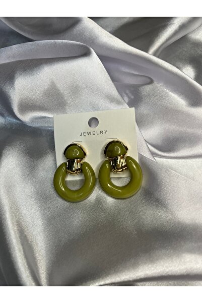 Fam&Co Jewelry Kadın Modern Tasarım Gold Detaylı Küpe