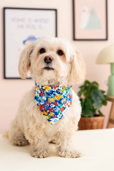 Lorico Dog Snap Fastener Patterned Scarf/Bandana