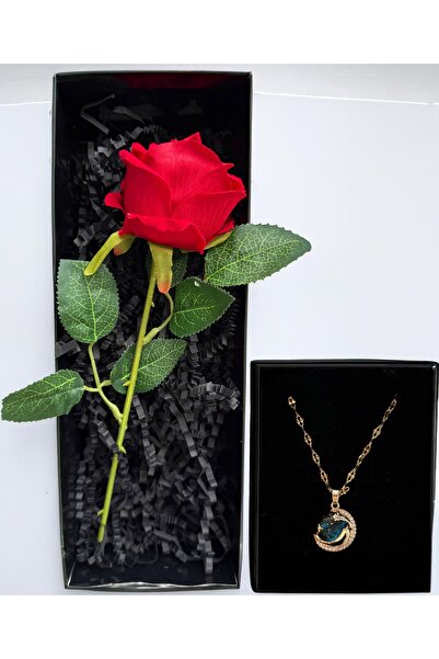 lenostra Sevgiliye Hediye Romantik Kırmızı Gül ve Gezegen Temalı Çelik Kolye ...