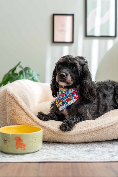 Lorico Dog Snap Fastener Patterned Scarf/Bandana