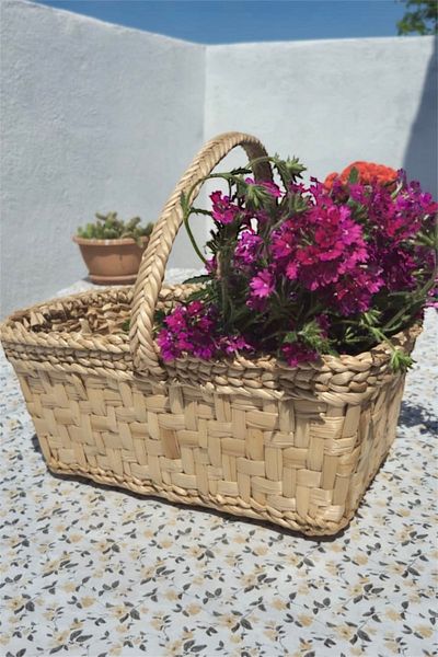 AFRALYAHOME Wicker Picnic Basket Basket with Handles-Picnic Set Flower Pot Flower Holder Bohemian Organizer