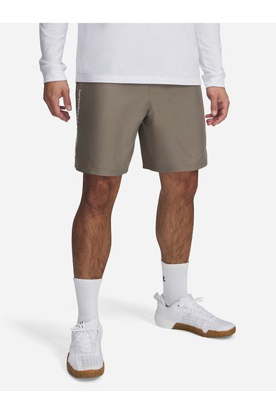 Under Armour UA Tech Woven Wordmark Shorts