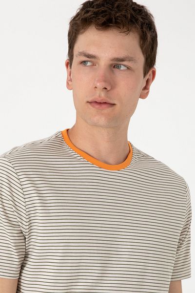 U.S. Polo Assn. Men's Regular Fit Crew Neck Khaki Striped T-Shirt 50306898-Vr027
