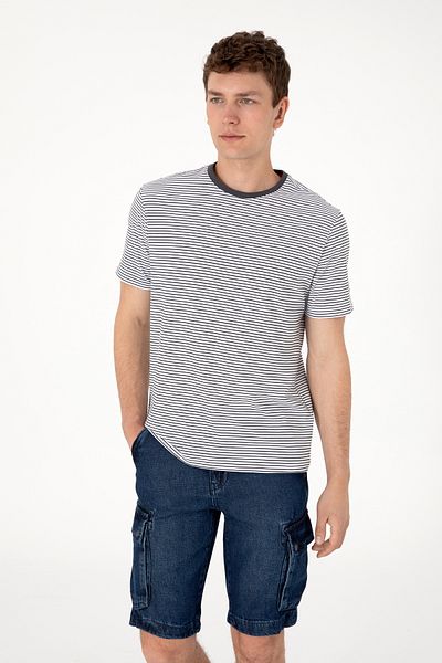 U.S. Polo Assn. Men's Regular Fit Crew Neck Black Striped T-Shirt 50306898-Vr046
