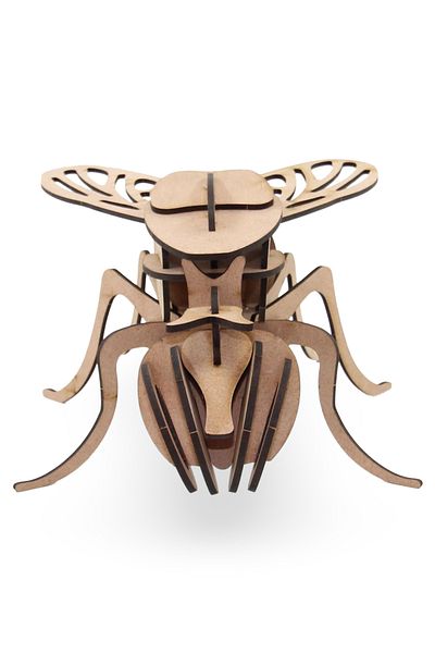 ALGWOOD 31 Piece Wooden Fly Model - 3D Wooden Fly Puzzle - Educational Set with Fly Figures