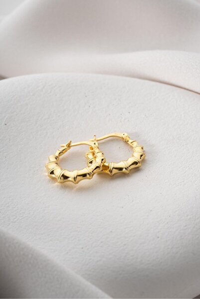 Nereze 925 Ayar Gümüş Gold Rengi Parçalı Çizgili Şarnel Küpe