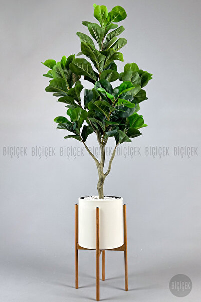 BİÇİÇEK Keman Yapraklı Kauçuk Bitkisi Fiddle Lyrata Metal Saksı