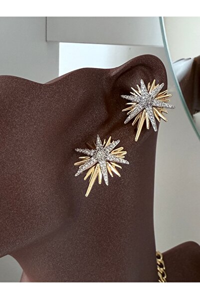 ACCESSORYHUB Zircon Stone Shining Star Earrings – Gold & Silver Color