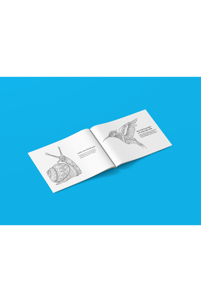 edinotes Inner Peace and Calm Mandala Coloring Book