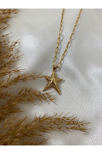 stainless steell قلادة من الفولاذ على شكل نجمة بسلسلة مشبك