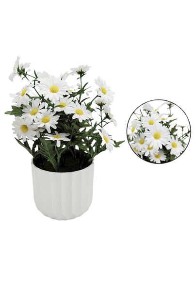 Generic 25 cm white board vegetables in a container