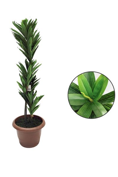 Generic 90cm tall artificial tree with 4 dense branches