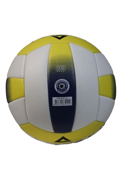AREGA Volleyball Training Ball Tvb-40251 01