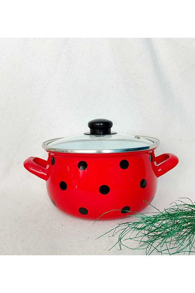 EBRULİEMAYE Moneybugger Enamel Pot 2.7 Liter 20 cm Milk Yogurt Soup Stove Pot