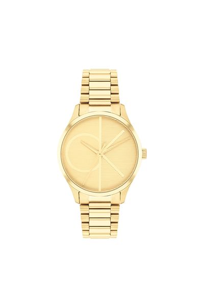 Calvin Klein Women's Watch, Calvin Klein, Iconic 25200346