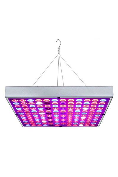 eMazing Lampă LED de creștere 45W pentru plante de interior, 225 LED-uri (165 roșii, 60 albastre), eMazing, 30x30 cm, multicoloră