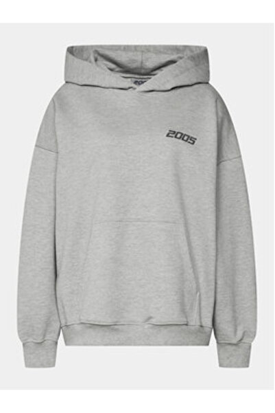 2005 Unisex Basic Hoodie Grey
