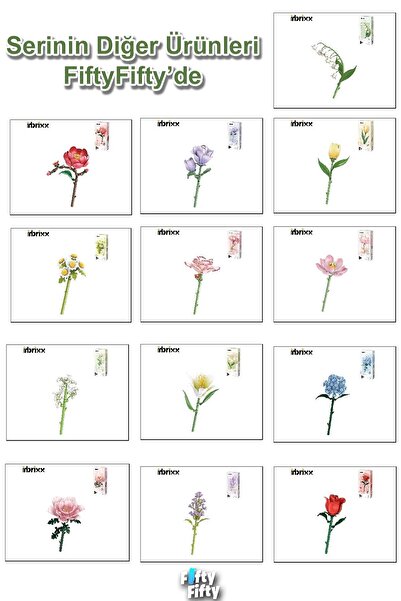 Vagonlife مجموعة بنلوس إنبريكس لتزيين وجمع نموذج زهرة الهورنج 177 قطعة -FFP65504