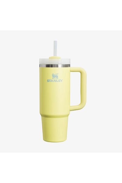 Stanley كوب The Quencher H2.o Flowstate Tumbler سعة 0.89 لتر وسعة 30 أونصة للجنسين ساري ترموس