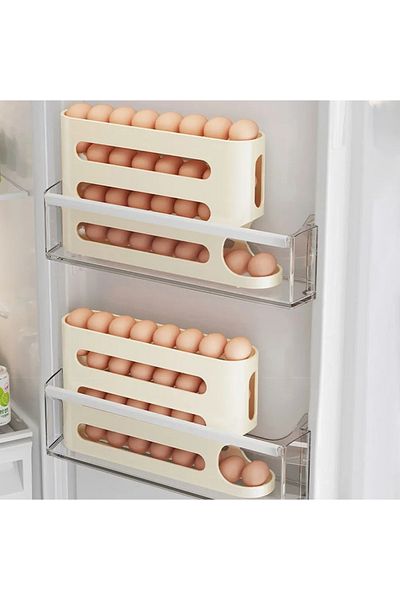 Deliny Egg Organizer for the Refrigerator – Compact, Elegant and Efficient (30 Eggs)