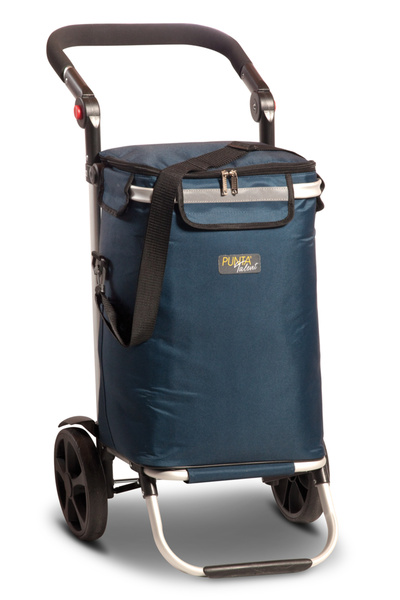 Punta Geantă de cumpărături, Talent, cu roți, F10359, 95 x 46 x 36 cm, 45 l, ...