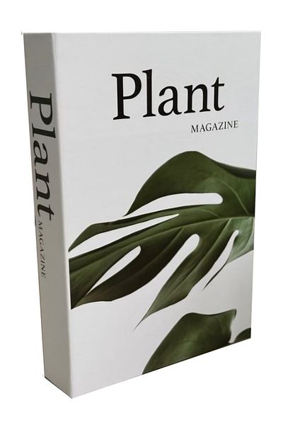 BSEYSTORE 2025-710 Plant.