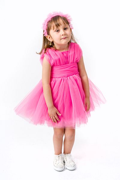 Baby Animals Baby Girl Girl Kid Birthday Party Wedding Dress Sleeveless Crowned Ruffled Tulle Tutu Tutu with Lining