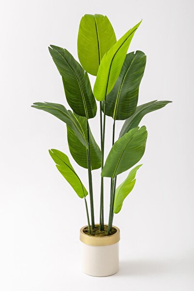 Güleç Yapay Çiçek Yapay Starliçe Ağacı 160 Cm Geniş Yapraklı Krem Gold Saksı