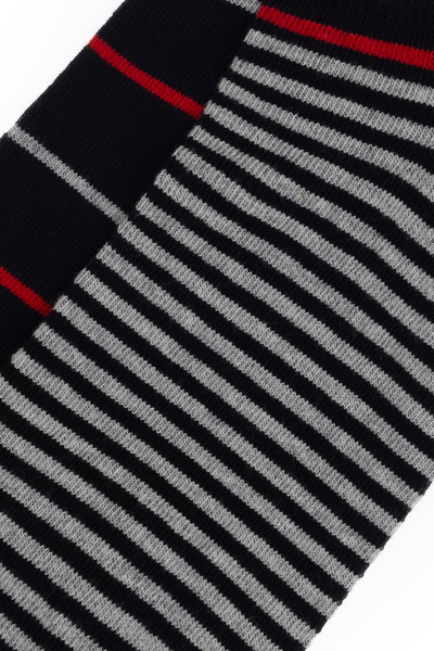 U.S. Polo Assn. Erkek 2'li Çorap 50311355-VR046