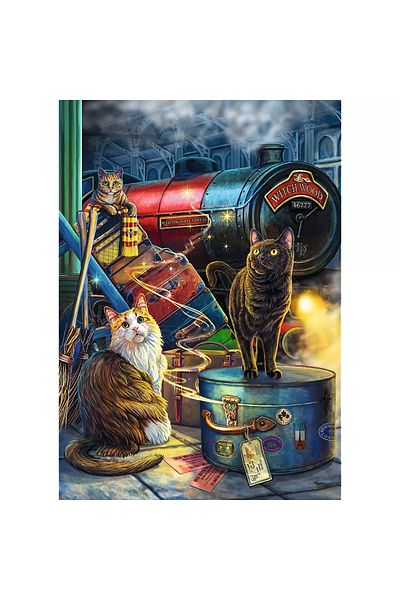 Trefl PUZZLE TREFL 1000 PREMIUM PLUS EXPRESUL VRAJITOR