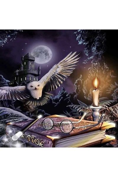 OEM Diamond Embroidery Kit 5D, Harry Potter Design, Mosaic, 30x40cm