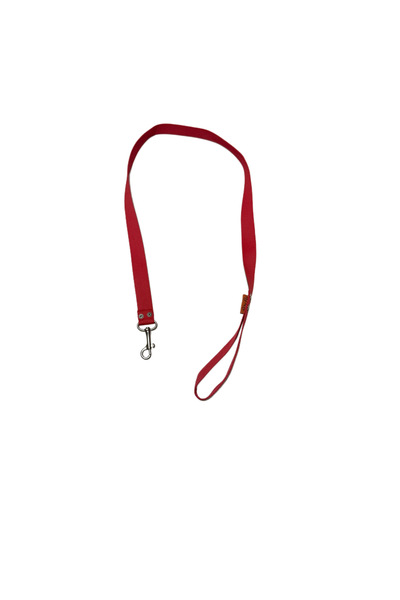 esca fishing 100cm 2mm Leash Rope Cat Dog Pet 1Pcs