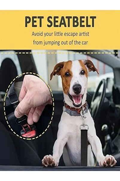 Ankaflex Evcil Hayvanlar için Güvenli ve Rahat Araç Emniyet Kemeri Tasması Ko...