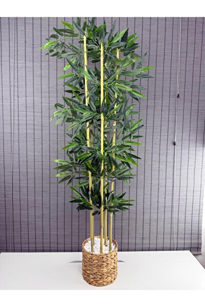 Bahçem Dekoratif Hasır Su Sümbülü Saksılı Yapay Yoğun Yapraklı Dekoratif Bambu Ağacı 5 Gövde 130cm