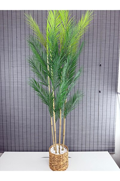 Bahçem Dekoratif Yapay Yapraklı Hasır Su Sümbülü Saksılı Areka Palmiye Ağacı 4 Gövde 150cm