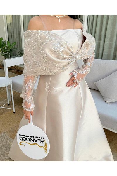 ALANOOD FASHION Beige Mikado evening dress with a luxurious design